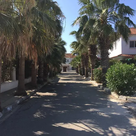 Zenobia Seven Beach No.5 Perivolia